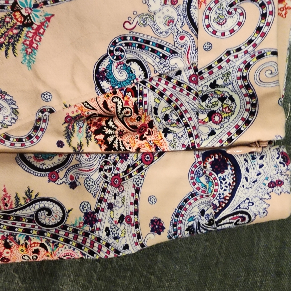 Express Shorts - Picture 4 of 6